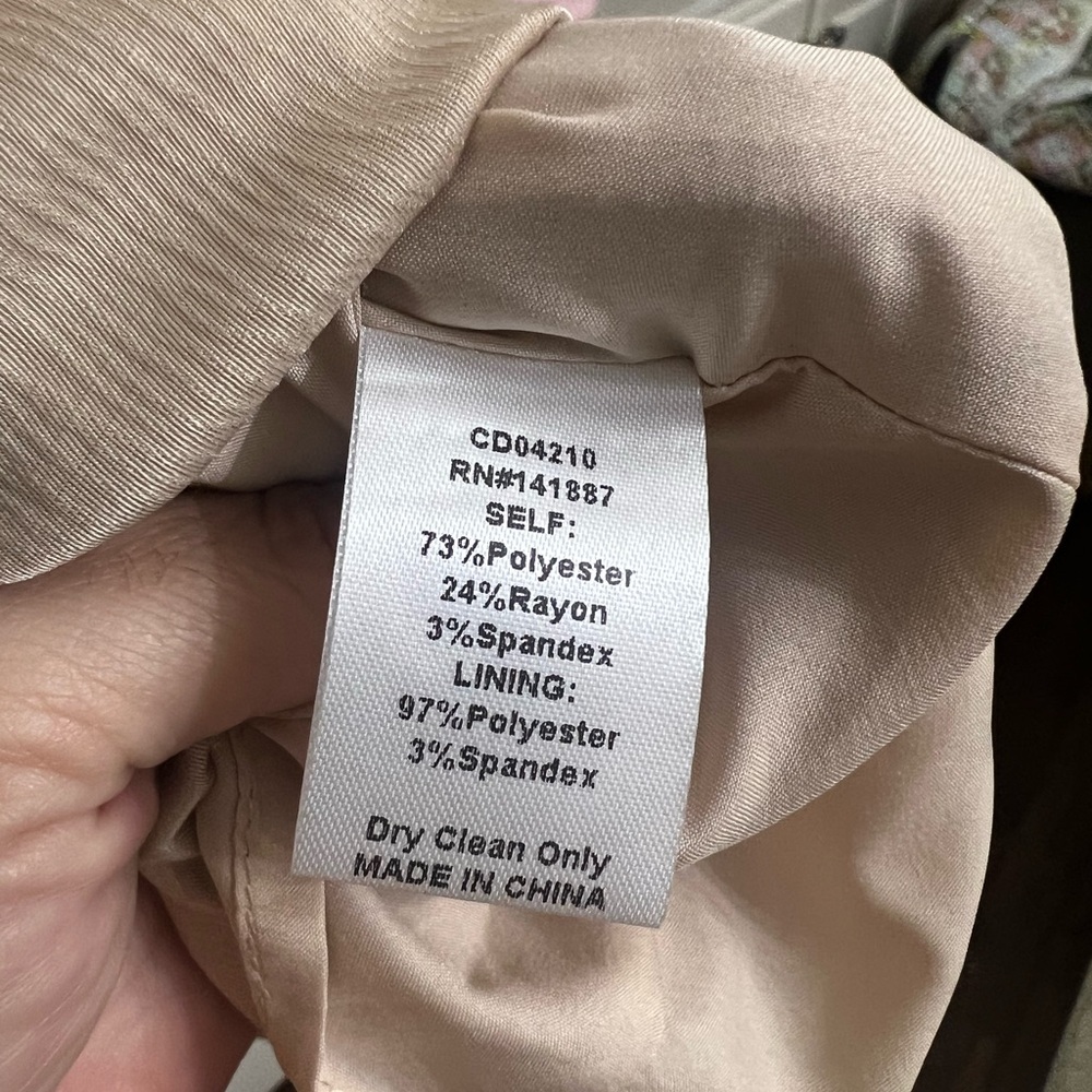 TCEC Beige Ruffled Dress - Picture 7 of 7